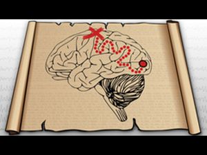 Exploring Neural Data: Online course by Brown University