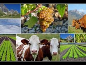 What is Agribusiness? Scope and Career opportunities