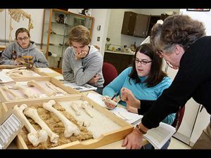 What is Anthropology? Scope and Career opportunities