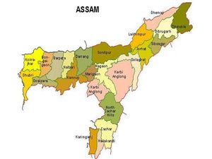 Nagaon students join hands with US students to promote STEM education