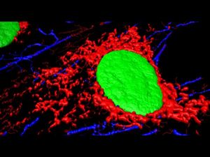 Prepare for AP Biology exam with this online course by Rice University