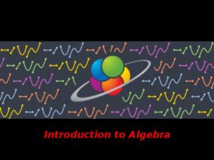 Introduction to Algebra: An Interactive Online Course