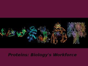 Proteins: Biology's Workforce - Online course by RICE University