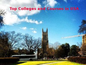 Top Courses and Colleges in USA