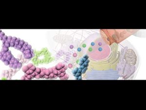 KyotoX conducts online course on The Chemistry of Life