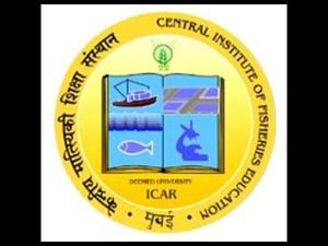 CIFE Mumbai offers admissions to Ph.D programmes