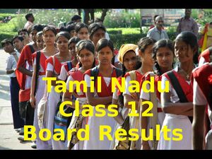 Tamil Nadu Class 12 Board Results Declared