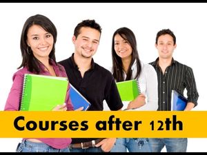 Top 5 UG Courses in Commerce