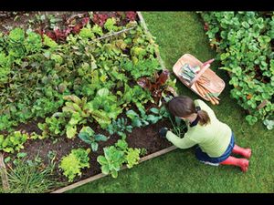 Canada keen to set up horticulture varsity in Haryana 