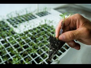 Top 10 Universities for Agriculture Sciences in the World