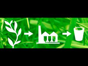 Industrial Biotechnology: Online Course by TU Delft