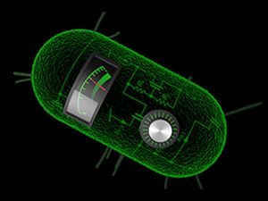 Principles of Synthetic Biology: An online course by MITx