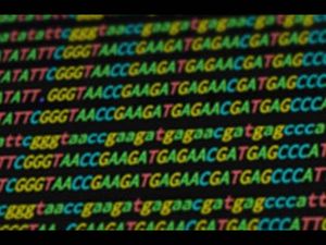 Harvard University offers course on Statistics and R for life Sciences