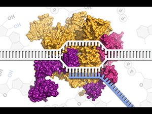 Online course on Molecular Bio: Transcription and Transposition by MIT