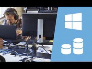 Implementing Microsoft Windows Server Disks, Volumes: An online course