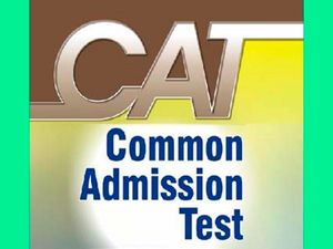 CAT 2015: Mock test paper available at the official website