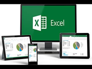 Analyzing and Visualizing Data with Excel: Online course by Microsoft
