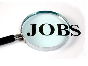 TSPSC Recruitment for 2 Deputy General Manager Posts 2015-16