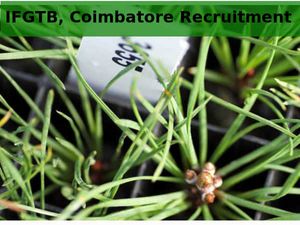 IFGTB, Coimbatore Recruitment for 05 JRF & Field Assistant Posts 2016