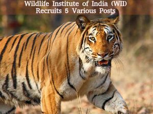 Wildlife Institute of India Recruitment for 05 Various Posts 2016