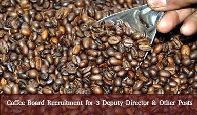 Coffee Board Recruitment for 3 Deputy Director & Other Posts 2016