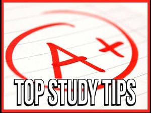 Top 6 Tips to Study Effectively for Exam