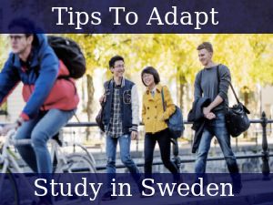 Tips to Adapt for international students in Sweden
