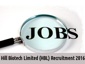 HBL is Hiring for 100 Jr Officer, Technician & Executive Posts 2016