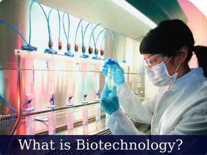 What is Biotechnology? Scope and Career Opportunities