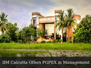 PG Programme for Executives in Management at IIM Calcutta, Apply Now!