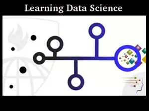 Top 5 Institutes To Offer Courses In Data Science