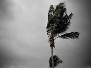 NEET PG 2017 Exam To Be Held on Dec 16 in Chennai