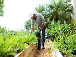 How to Become an Agriculturalist in 2023?