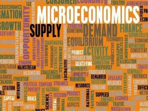 Eager About the Nuances of Economics? Take this Online Course on Microeconomics