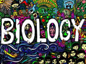 How to Prepare for CBSE Biology Exam?