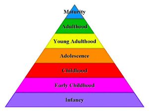 Online Course On Introduction To Developmental Psychology