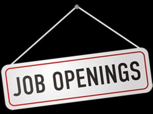 NISTADS Recruitment 2017: Apply For Scientists & Technical Assistant Posts