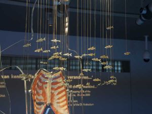 Bioethics: Scope and Career Opportunities