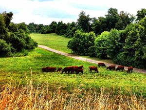 AAHC Recruitment 2017: Apply Now!