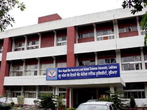 GADVASU CET 2017 Results Released: Check Now!