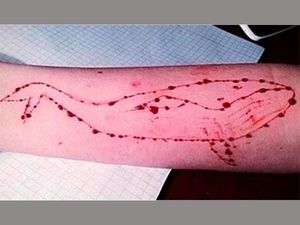 How to Keep Out Children from Blue Whale Challenge?