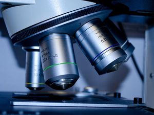 Which Is The Best Course - Medicine Or Engineering?