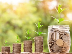 How To Invest Your Money As A Fresher