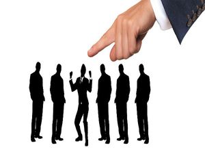 Best Undergrad Courses To Make A Career In Human Resources 