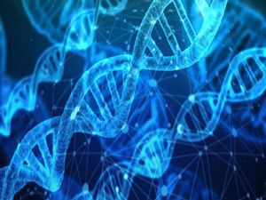 What Is Gerontology? Scope And Career Opportunities