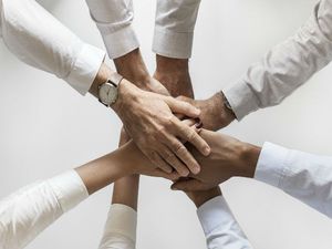 5 Tips To Build A Healthy Teamwork Environment In An Organisation  
