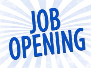 LIC Recruitment 2019: Apply Online For 590 Assistant Administrative Officer (AAO)