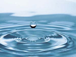5 Things Students Should Know About World Water Day On March 22
