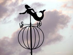 World Meteorological Day: How To Become A Meteorologist In India 