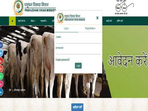 UP Pashumitra Recruitment 2019 For 9020 District Coordinators, Animal Health Workers And AI